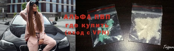 трава Аркадак