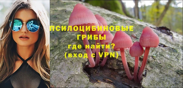 трава Аркадак