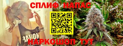 стафф Тула