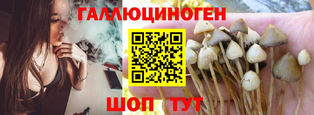 Октябрьский  Галлюциногенные грибы GOLDEN TEACHER  Вход с VPN 