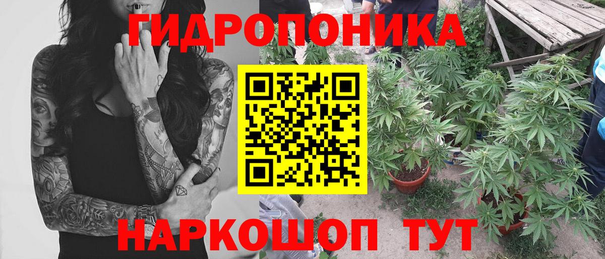 Бошки марихуана ГИДРОПОН Октябрьский